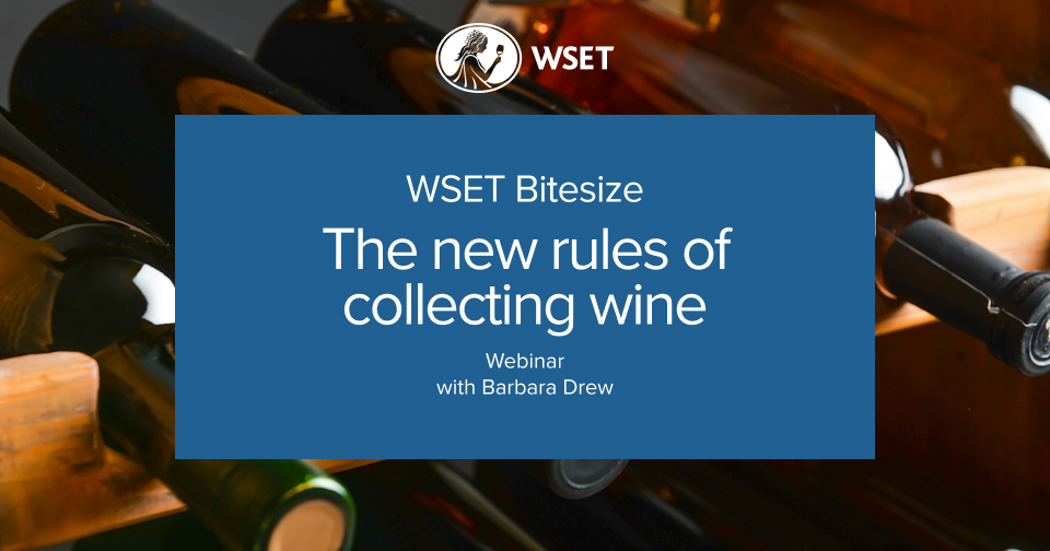 collecting wine frot cover.jpg