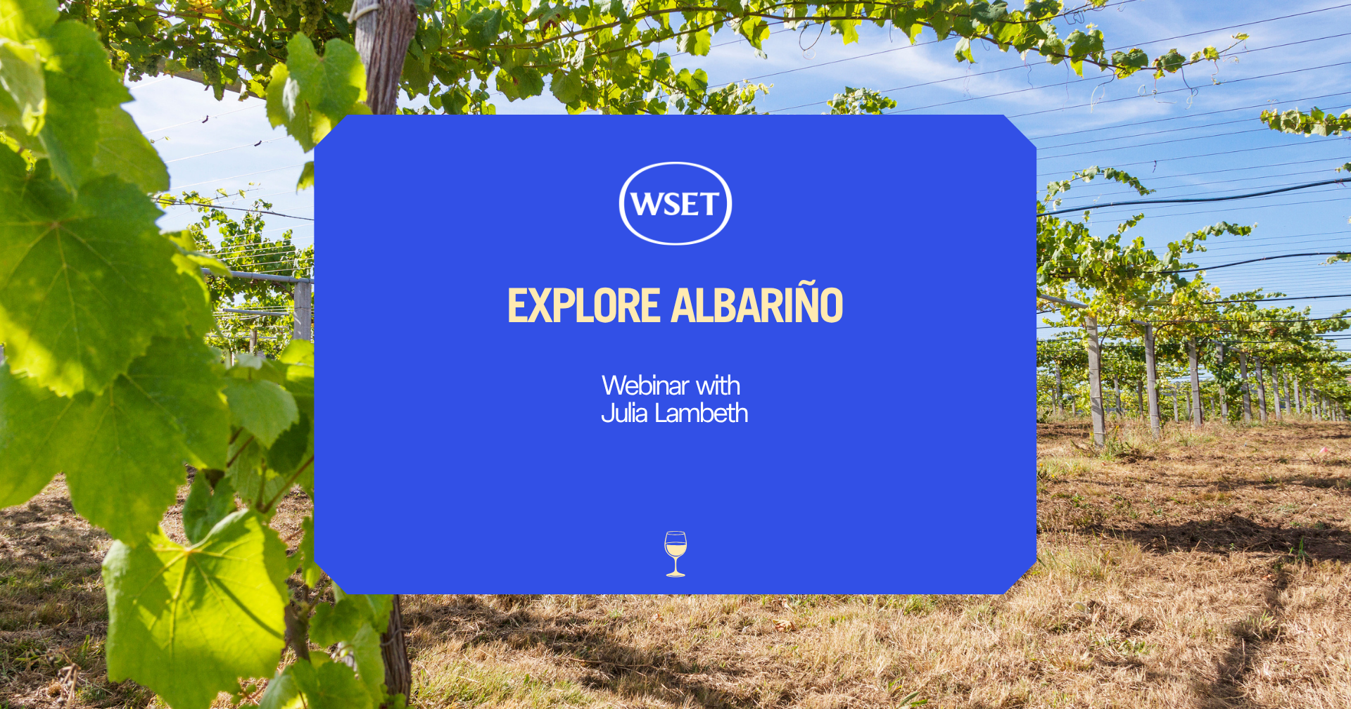 Albarino.png